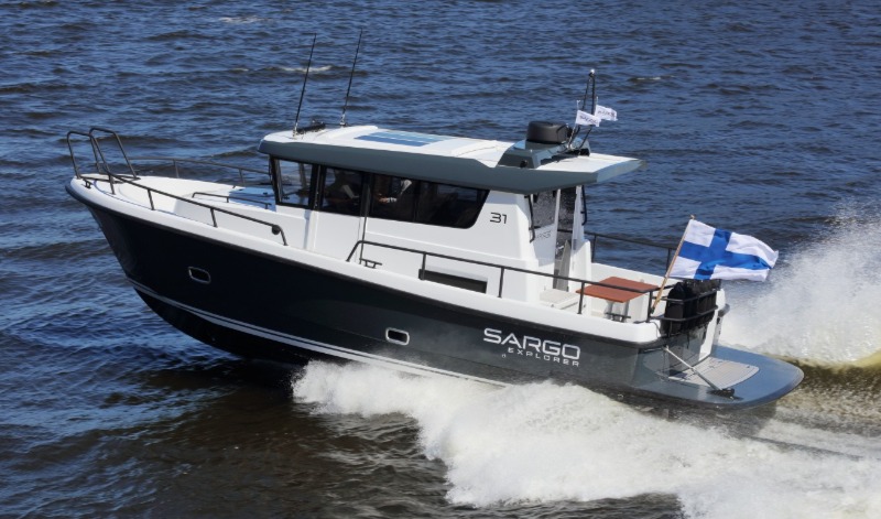 Sargo 31